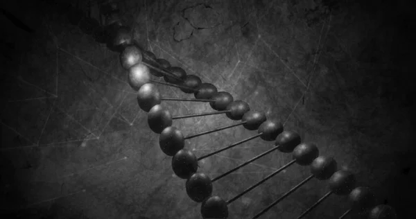 Afbeelding Van Macro Van Grijs Dna Streng Spinnen Wetenschappelijk Onderzoeksconcept — Stockfoto