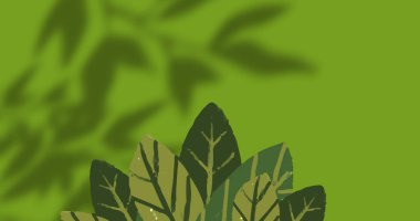 Yaprakların üzerindeki bitkilerin resmi ve yeşil arka plandaki pencere gölgesi. gölge, desen ve renk konsepti dijital olarak oluşturulmuş görüntü.