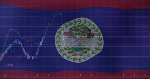 Immagine Elaborazione Dei Dati Bandiera Belize Business Globale Finanze Connessioni — Foto Stock