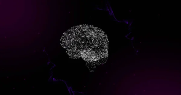 Image Human Brain Spinning Moving Purple Network Black Background Global — Stock Photo, Image