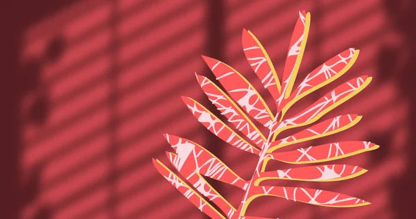 植物覆盖在叶子上的图像和红色背景上的窗影 图案和色彩概念数字生成的图像 — 图库照片
