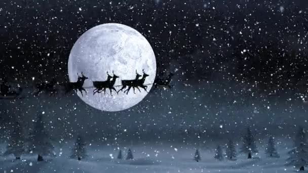 由驯鹿拉着雪橇上的圣诞老人黑色轮廓的动画 月亮和雪在黑暗的背景下落下 — 图库视频影像