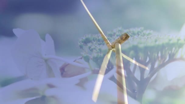 Animación Turbina Eólica Giratoria Con Flores Primer Plano — Vídeos de Stock