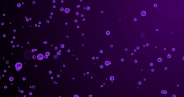 Mor arka planda yüzen mor dairelerin animasyonu. Bilim, insan biyolojisi, vücut, hücreler ve tıp konsepti dijital olarak üretilen video.