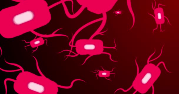 Animation Globules Rouges Déplaçant Sur Fond Rouge Foncé Science Biologie — Video
