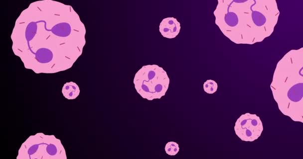 Анимация Розовых Фиолетовых Клеток Движущихся Темно Фиолетовом Фоне Концепция Науки — стоковое видео