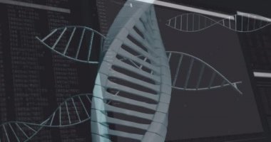 Siyah arkaplanda veri işlemesine karşı yüzen birden fazla DNA yapısı. Tıbbi araştırma ve bilim teknolojisi konsepti, DNA