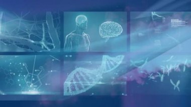 Mavi arkaplandaki dijital dalgaya karşı tıbbi veri işleme sistemli birden fazla ekran. tıbbi araştırma ve bilim teknolojisi kavramı