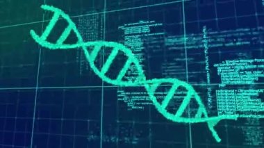 3D DNA iplikçikleri üzerinde veri işleme animasyonu dönüyor. küresel bilim, hesaplama, veri işleme ve dijital arayüz kavramı dijital olarak oluşturulmuş video.