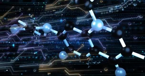 Animación Del Procesamiento Datos Molécula Sobre Fondo Negro Concepto Global — Vídeos de Stock