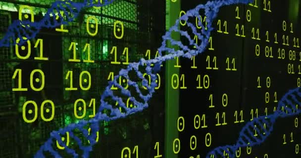 Animatie Van Dna Strengen Binaire Codering Boven Serverruimte Ukrainecrisis Internationaal — Stockvideo