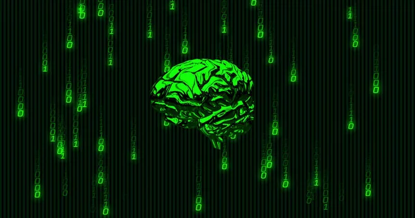 Imagem Codificação Binária Verde Processamento Dados Sobre Brilhante Cérebro Humano — Fotografia de Stock