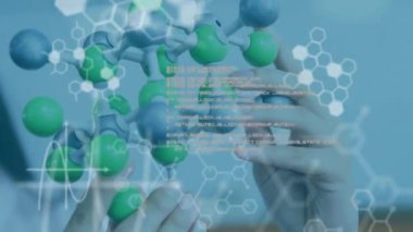 Laboratuvarda model olan beyaz bir kadının veri işleme animasyonu. küresel bilim ve dijital arayüz kavramı dijital olarak oluşturulmuş video.