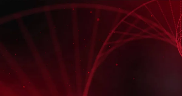 黒い背景の上に赤い斑点で回転する赤い鎖の画像 科学と研究の概念はデジタルで生成され — ストック写真