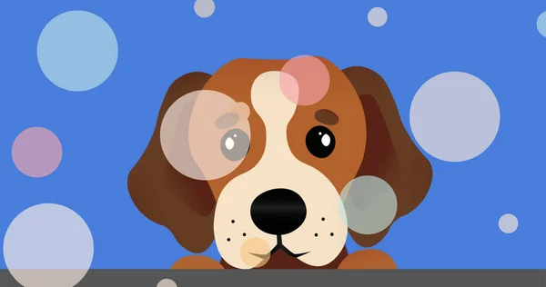 Multiple Colorful Spots Floating Cute Puppy Face Icon Copy Space — Stock Photo, Image