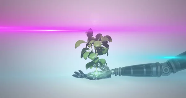 Image of growing plant in hand of robot arm, with pink light on grey background. electrical engineering technology, communication and research concept digitally generated image.