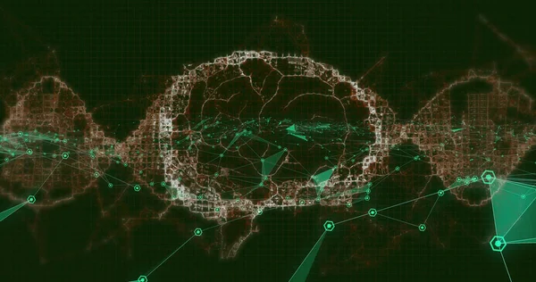 Image of network of connections, rotating brain and waves moving on black background. network, connections and digital interface concept digitally generated image.