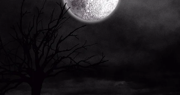 Digitaal Beeld Van Landschap Met Bomen Maan Aan Nachtelijke Hemel — Stockfoto
