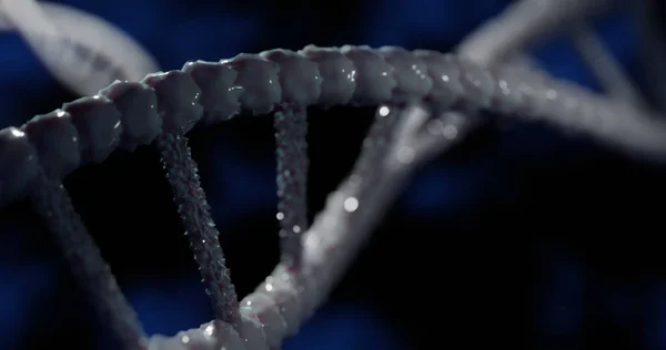 Bild Dna Strängar Svart Bakgrund Globalt Koncept För Vetenskap Dna — Stockfoto