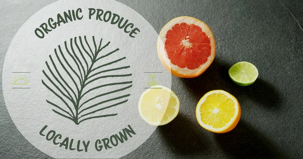 Bild Von Bioprodukten Aus Lokalem Anbau Text Über Zitrusfrüchten Auf — Stockfoto