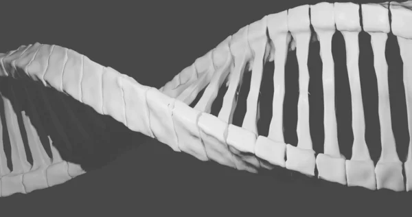 Bild Des Makros Der Sich Drehenden Blauen Dna Stränge Wissenschaft — Stockfoto