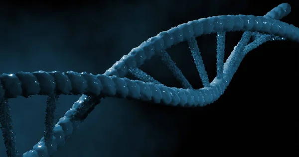 Bild Dna Strängen Svart Bakgrund Globalt Koncept För Vetenskap Dna — Stockfoto