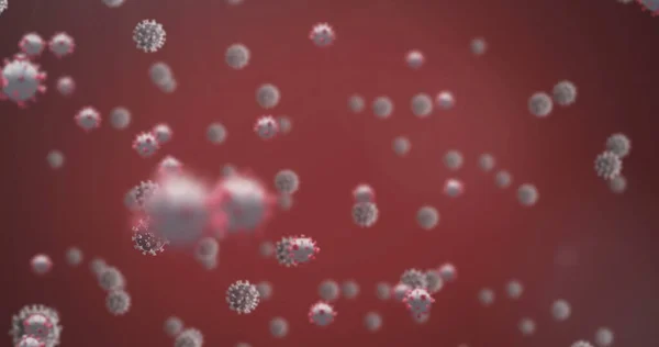 Kırmızı Zemin Üzerinde Virüs Hücrelerinin Resmi Küresel Bilim Dijital Arayüz — Stok fotoğraf