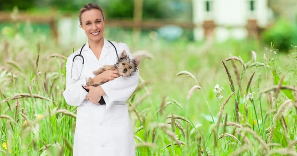 Imagen Feliz Veterinaria Caucásica Sosteniendo Yorkshire Terrier Perro Mascota Sobre — Foto de Stock