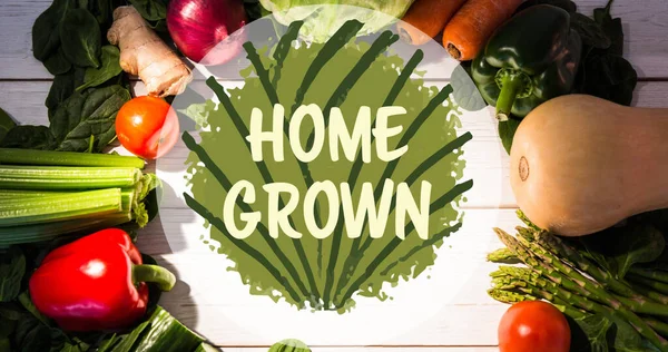 画面上的土生土长的文字是绿色的 上面是白板上新鲜蔬菜的圆形 素食日 有机蔬菜生产与健康饮食理念数码生成图像 — 图库照片