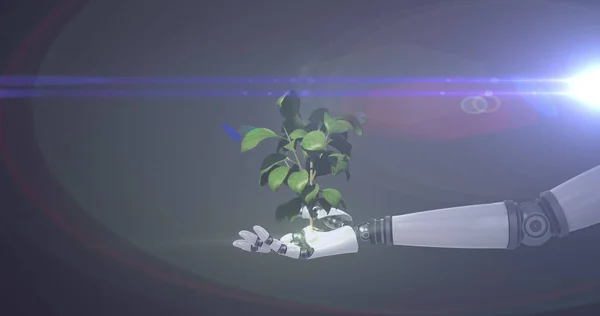 Imagen Planta Crecimiento Mano Brazo Robot Con Luz Azul Sobre —  Fotos de Stock