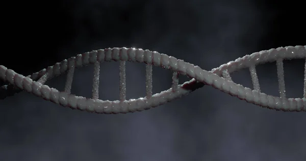 Image of dna strand on black background. global science, dna and digital interface concept digitally generated image.