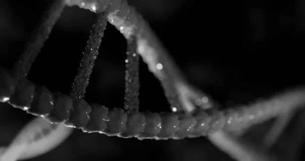 Image of dna strands on black background. global science, dna and digital interface concept digitally generated image.