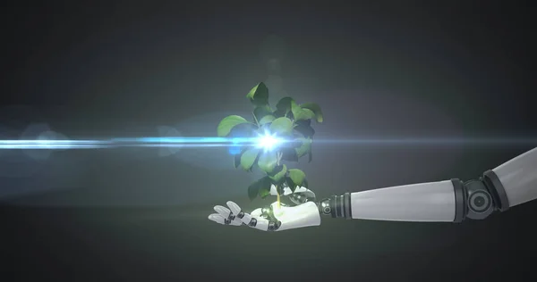 Imagen Planta Crecimiento Mano Brazo Robot Con Luz Movimiento Sobre —  Fotos de Stock