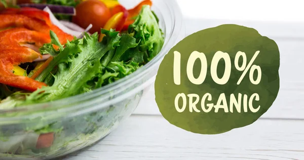 Изображение 100 Органического Текста Зеленым Свежем Органическом Овощном Салате Чаше — стоковое фото
