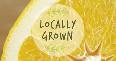 Portakalın yakın görüntüsüne karşı yerel bir metin afişi. Vegan, organik ve sağlıklı gıda konsepti