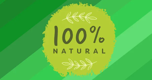 Bild Von 100 Prozent Natürlichem Text Grün Mit Blättern Über — Stockfoto