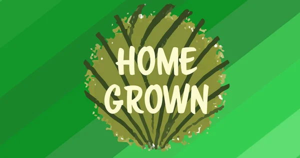 Изображение Домашнего Текста Логотипе Зеленого Листа Поверх Диагональных Зеленых Полос — стоковое фото