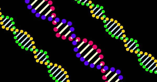 Imagem Dna Colorido Girando Sobre Fundo Preto Cor Padrão Ciência — Fotografia de Stock