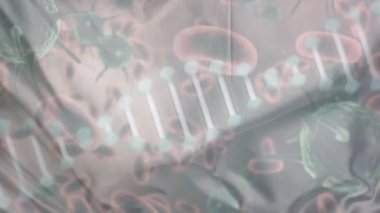 Bej arka planda DNA üzerinde virüs hücreleri ve kan hücrelerinin canlandırılması. küresel covid 19 salgını, sağlık ve bilim konsepti dijital olarak oluşturulmuş video.