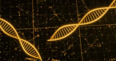 Siyah arka planda DNA ipliği ve veri işleme animasyonu. küresel bilim ve dijital arayüz kavramı dijital olarak oluşturulmuş video.