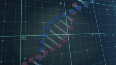 Donanma arka planında dönen DNA animasyonu. veri işleme, bilim ve teknoloji konsepti dijital olarak oluşturulmuş video.