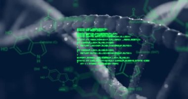 DNA iplikçikleri üzerinde kimyasal yapıların ve veri işlemenin animasyonu. Küresel bilim, veri işleme, bağlantılar ve dijital olarak oluşturulmuş bulut hesaplama kavramı.