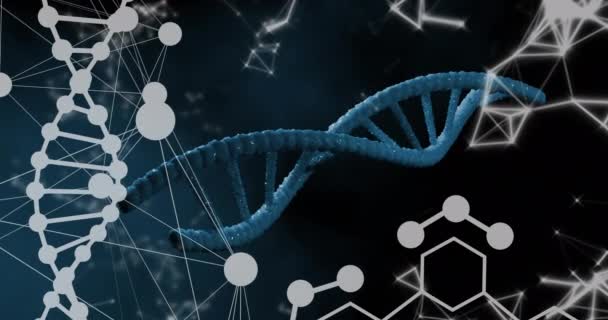 Animatie Van Chemische Structuren Netwerk Dna Strengen Draaien Wereldwijd Concept — Stockvideo