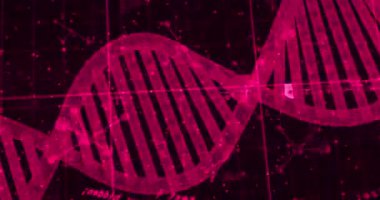 Siyah arka planda DNA ipliği ve veri işleme animasyonu. küresel bilim ve dijital arayüz kavramı dijital olarak oluşturulmuş video.