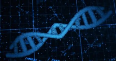 Siyah arka planda DNA ipliği ve veri işleme animasyonu. küresel bilim ve dijital arayüz kavramı dijital olarak oluşturulmuş video.