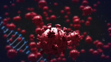 Siyah arkaplanda kırmızı virüs hücrelerinin DNA üzerindeki animasyonu. küresel covid 19 salgını, sağlık ve bilim konsepti dijital olarak oluşturulmuş video.