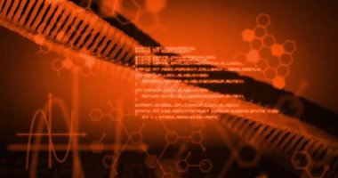 Kırmızı arkaplanda DNA ipliği ve veri işleme animasyonu. küresel bilim ve dijital arayüz kavramı dijital olarak oluşturulmuş video.