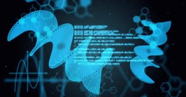 Siyah arka planda DNA ipliği ve veri işleme animasyonu. küresel bilim ve dijital arayüz kavramı dijital olarak oluşturulmuş video.