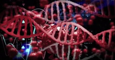 Siyah arka planda DNA iplikçikleri ve virüs hücrelerinin canlandırılması. küresel bilim ve dijital arayüz kavramı dijital olarak oluşturulmuş video.