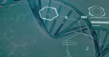 DNA iplikçikleri üzerinde kimyasal yapıların ve veri işlemenin animasyonu. Küresel bilim, veri işleme, bağlantılar ve dijital olarak oluşturulmuş bulut hesaplama kavramı.